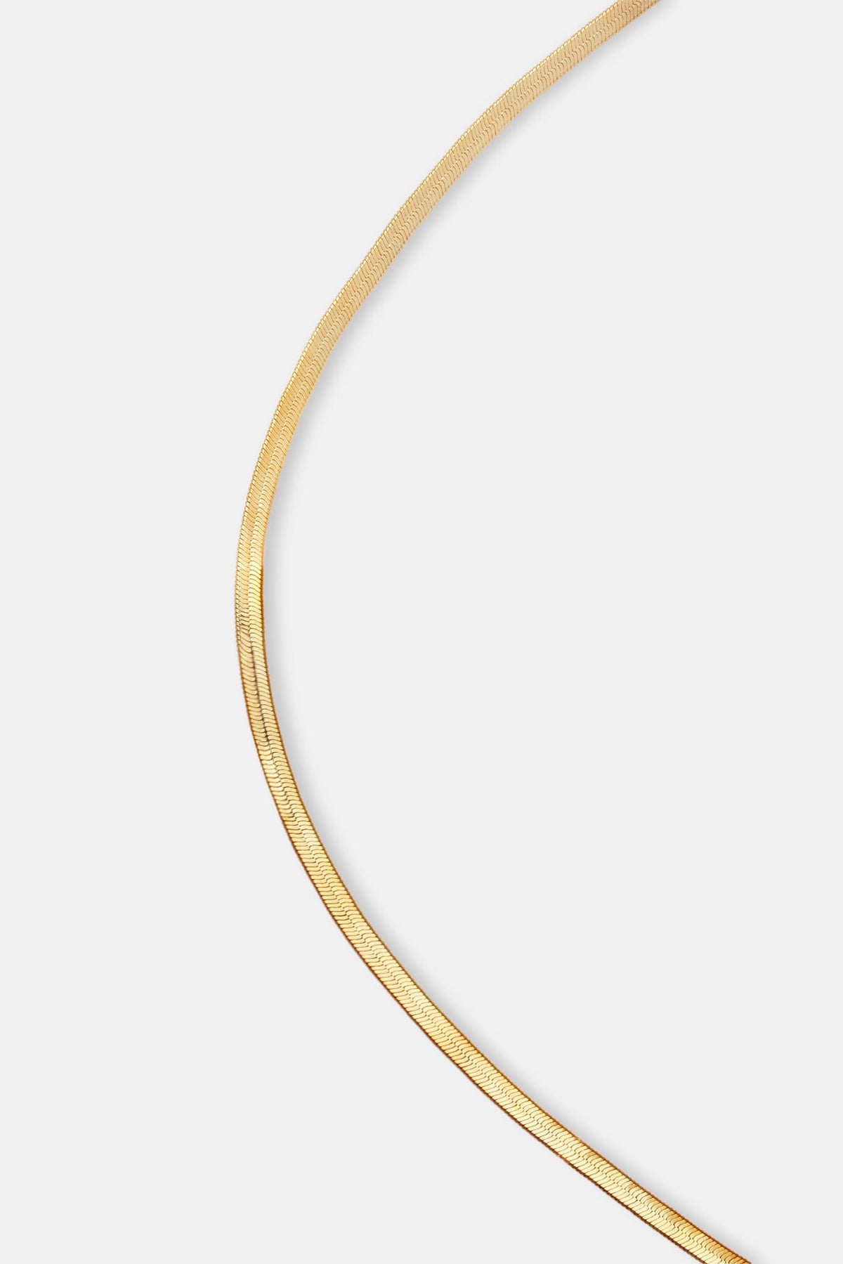 Gold metal flat snake chain link dainty lightweight skinny belly chain belt Snake Chain Belt | Petit Moments main image 2