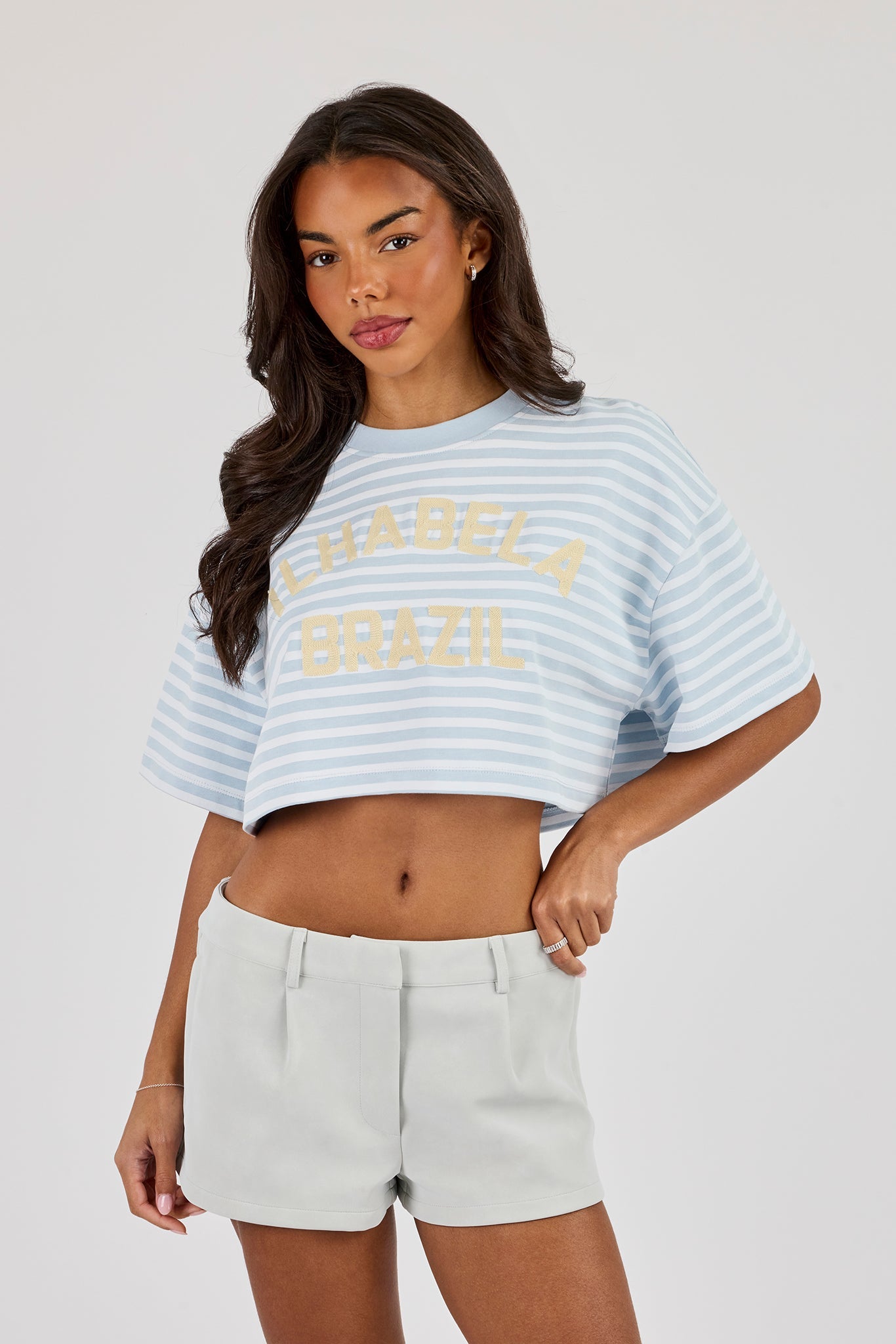 Striped Chain Stitch Cropped T-Shirt - Baby Blue