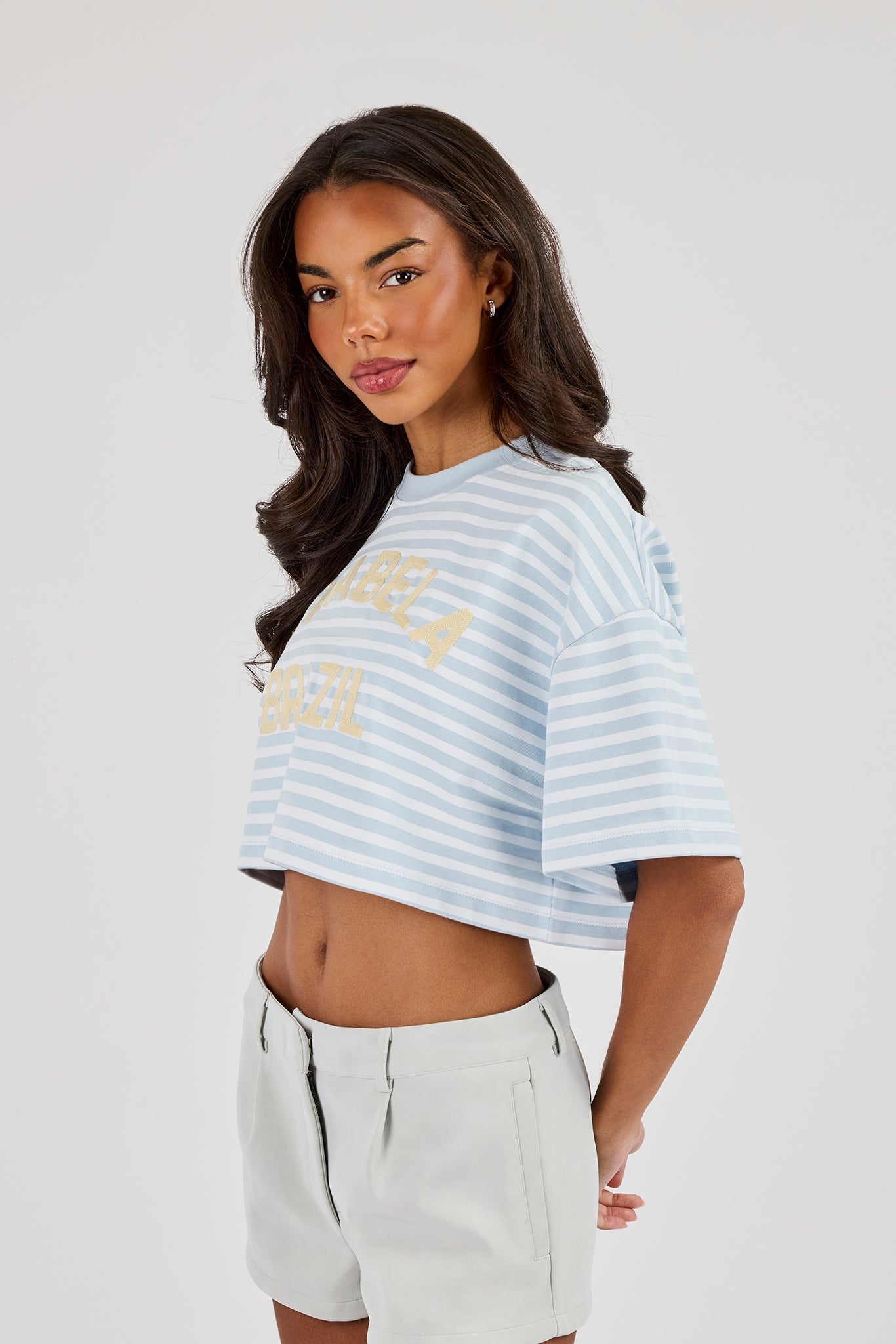 Striped Chain Stitch Cropped T-Shirt - Baby Blue