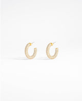 Iced Pave Hoop Earrings - Gold